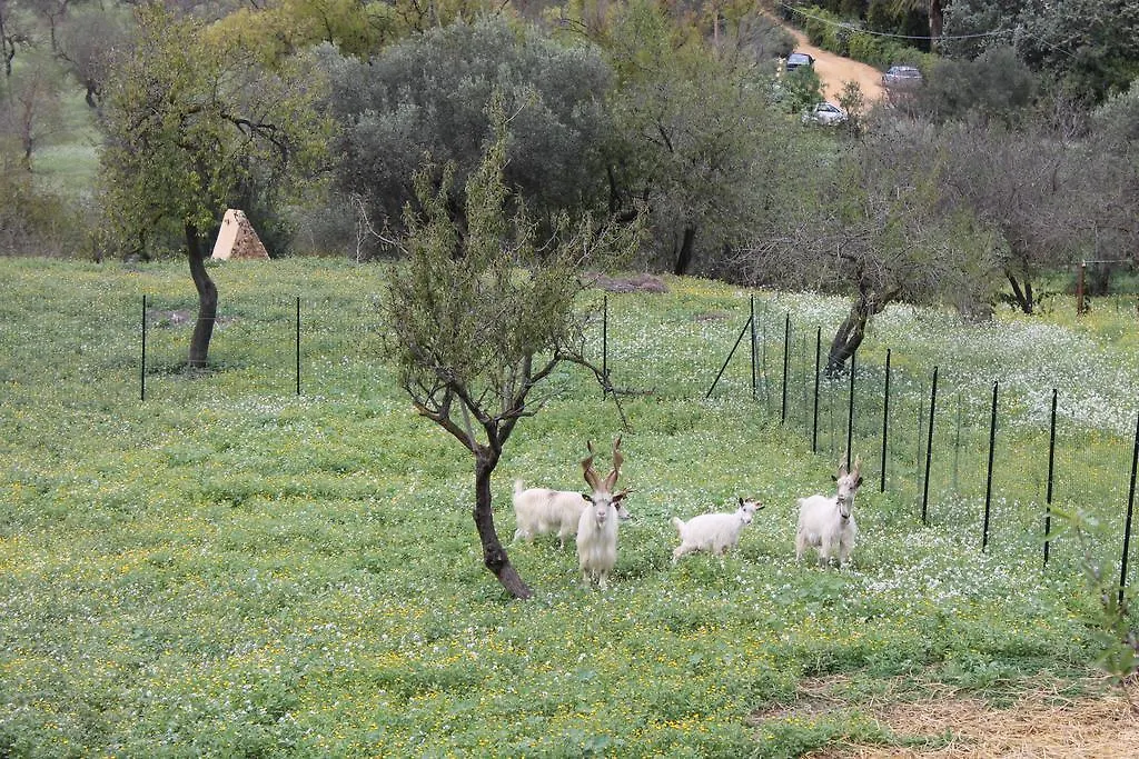 Bed & Breakfast B&B Nettuno San Leone